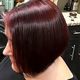 A bit of Eggplant and Scarlet for a plum hair color